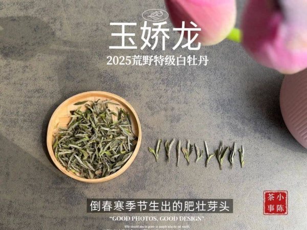 长沙炒股配资公司 景德镇定制的茶缸，用来存茶，会比三层包装法更好吗？