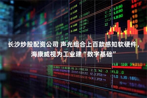 长沙炒股配资公司 声光组合上百款感知软硬件，海康威视为工业建“数字基础”